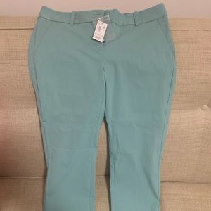 BRAND NEW The Limited Size 4P work pants